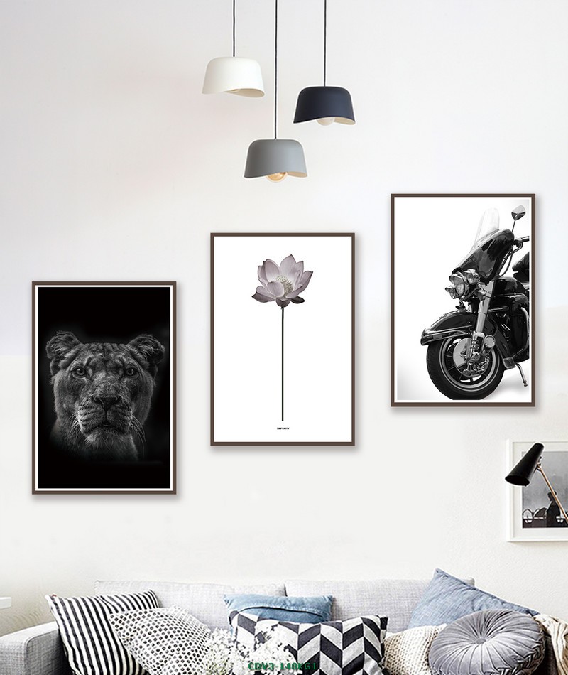 Động vật CDV3-148KG1